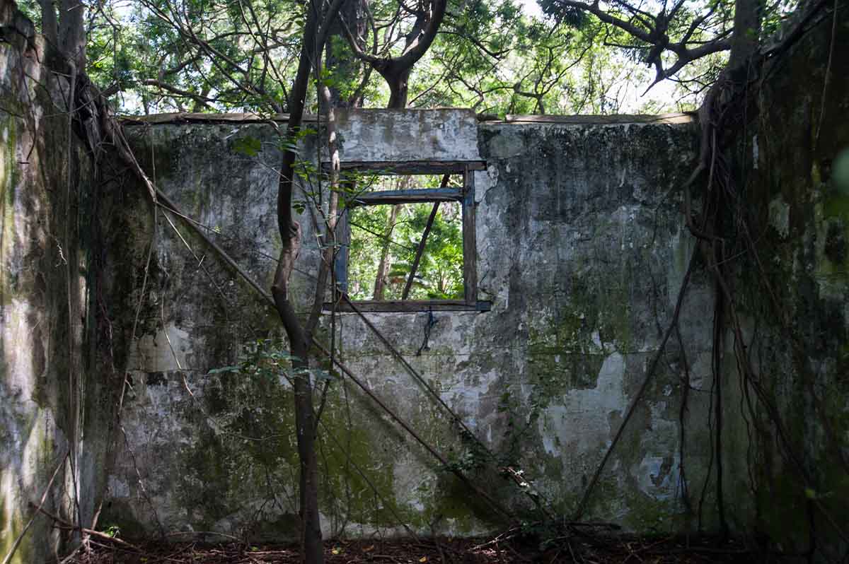 Kenneth Steinbank Nature Reserve