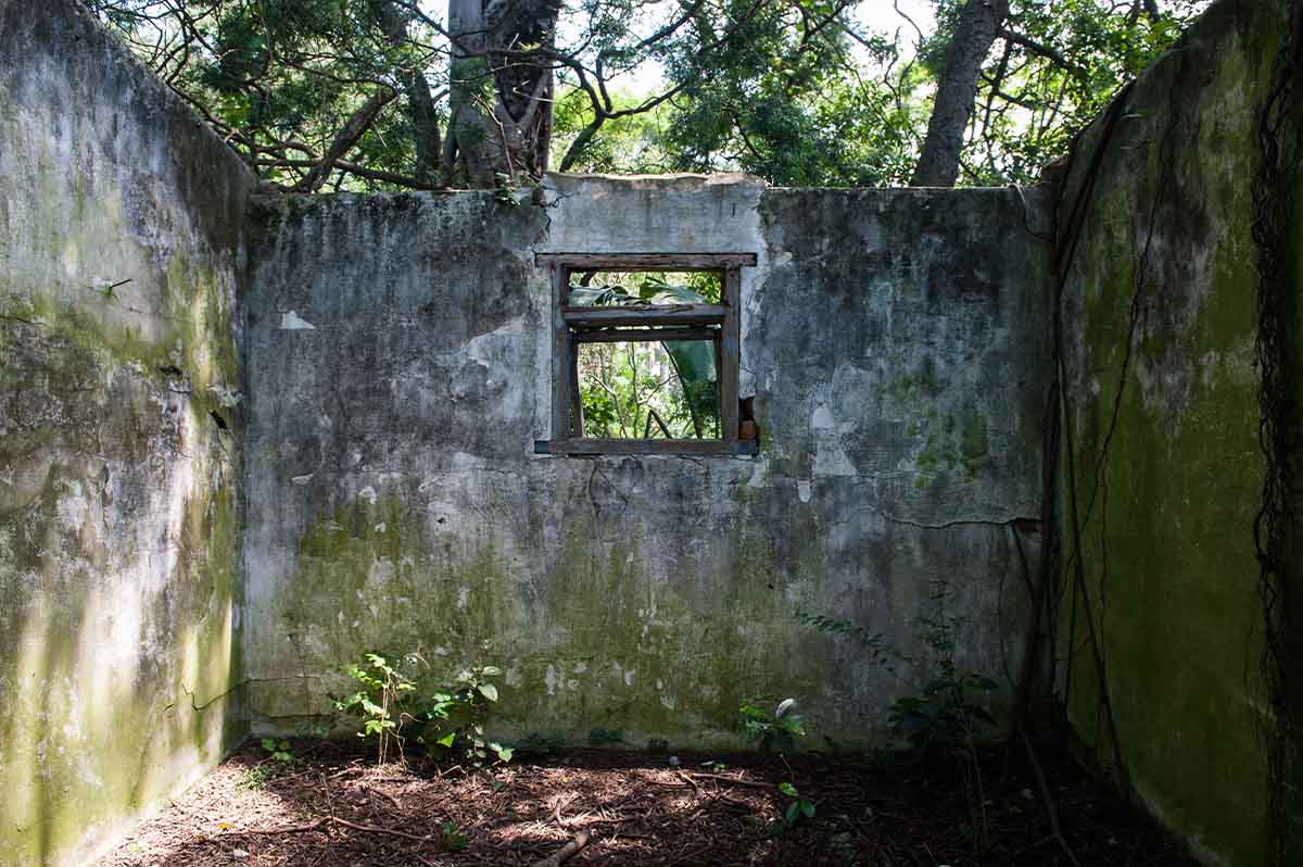 Kenneth Steinbank Nature Reserve