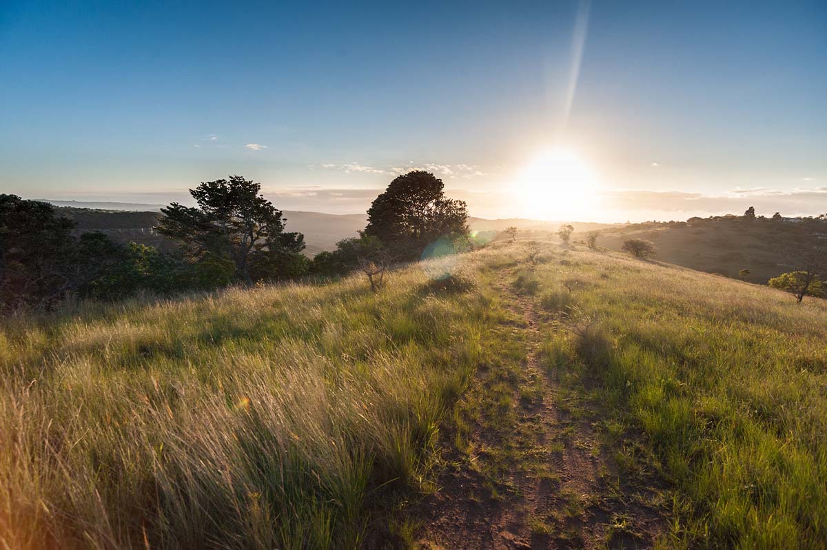 kranskloof-nature-reserve