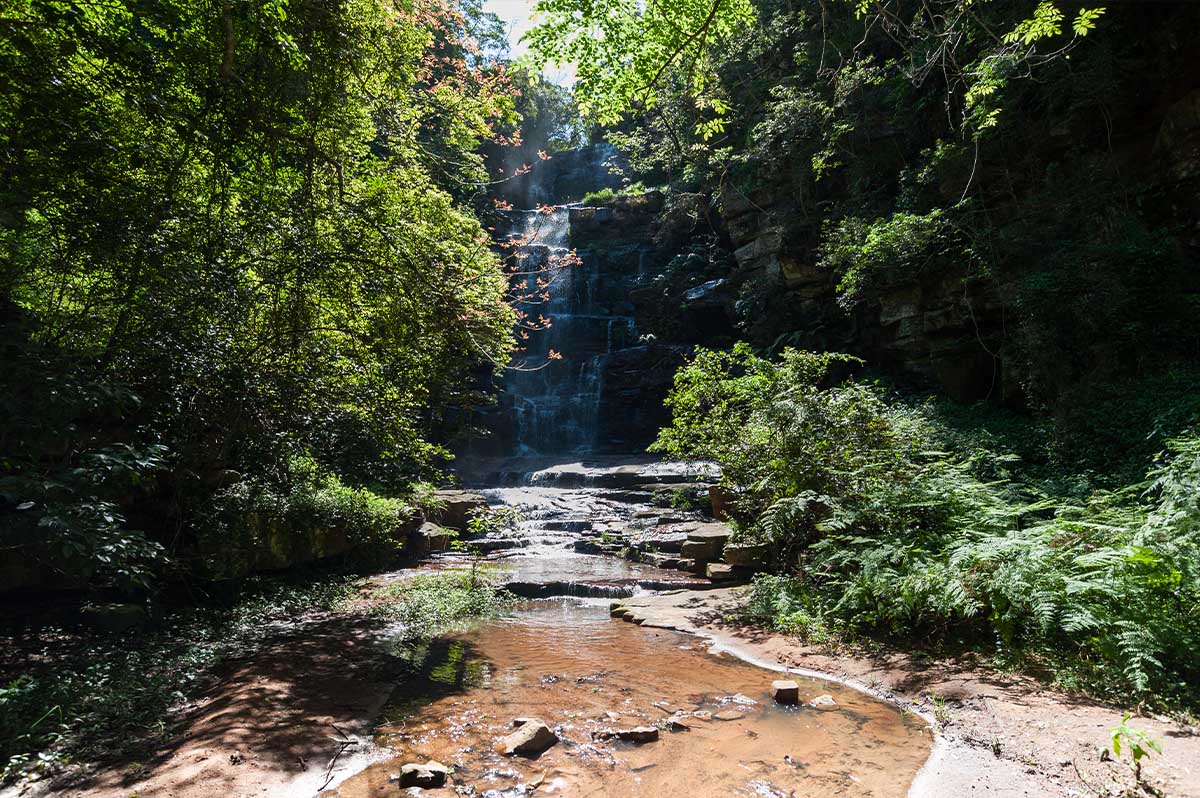 Forests, Parks, Gardens and Nature Reserves
