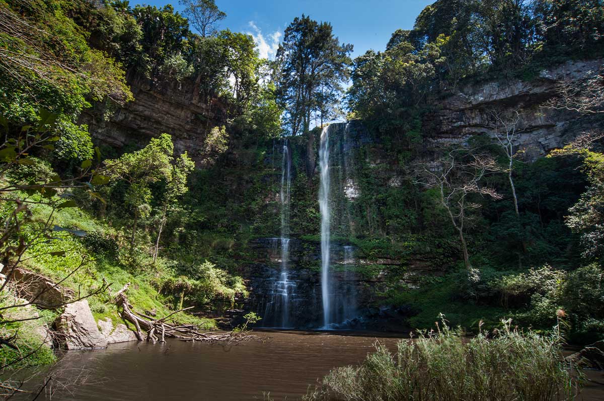 mcintosh-falls